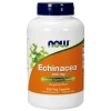 NOW Foods - Echinacea