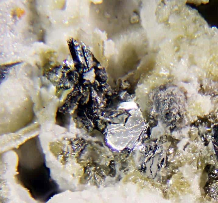 The Importance of Zinc in Maintaining Overall Health