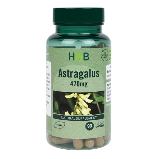 Astragalus