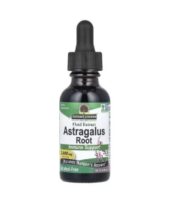 Astragalus Root