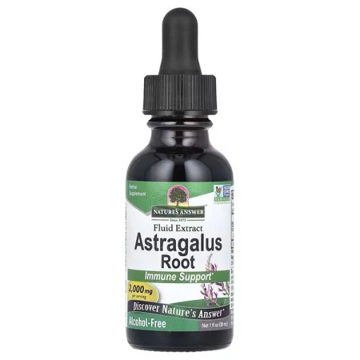 Astragalus Root