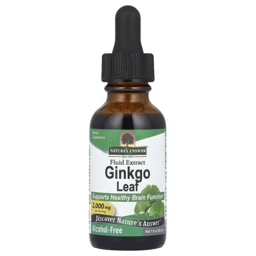 Ginkgo Leaf