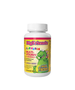 Natural Factors Chewable Multivitamin & Minerals with Whole Food Concentrates (90 Chewables