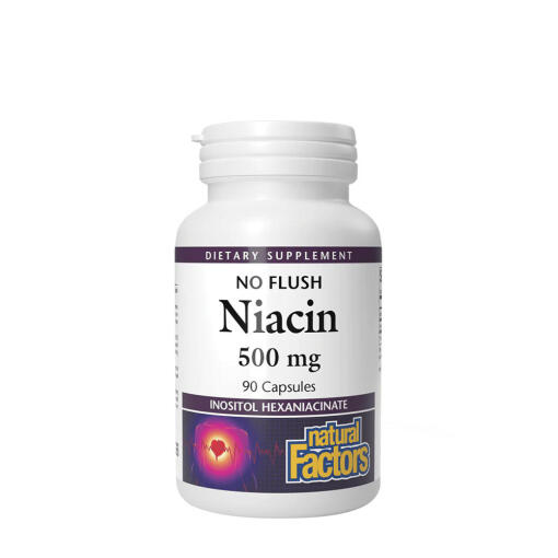 Natural Factors Niacin 500 mg  (90 Capsules)