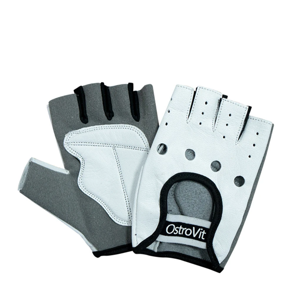 Ostrovit Men's Gloves (XL)