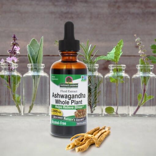 Nature's Answer - Ashwagandharot, 2000 mg, 60 ml - Bild 4