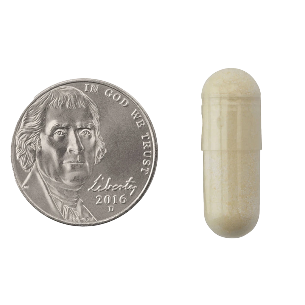 Natrol - Carb Intercept med Phase 2, 60 vegetabiliska kapslar - Bild 3