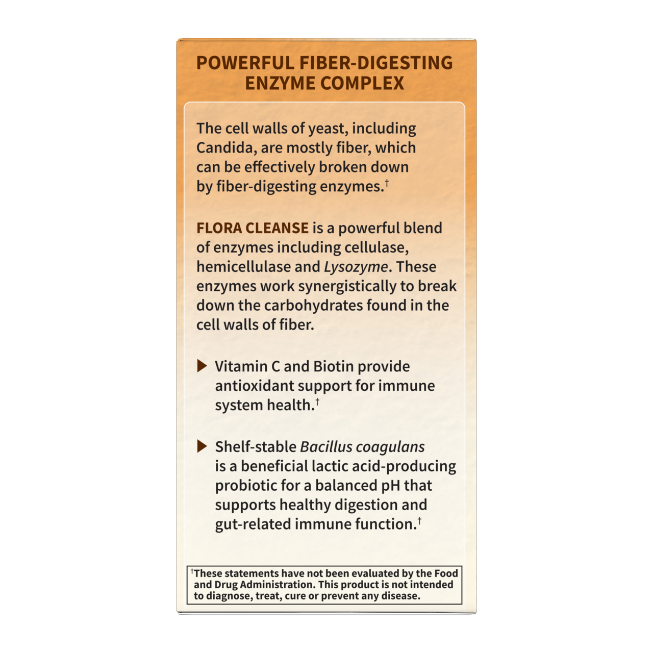 Garden of Life - Flora Rens, 60 kapslar - Bild 4