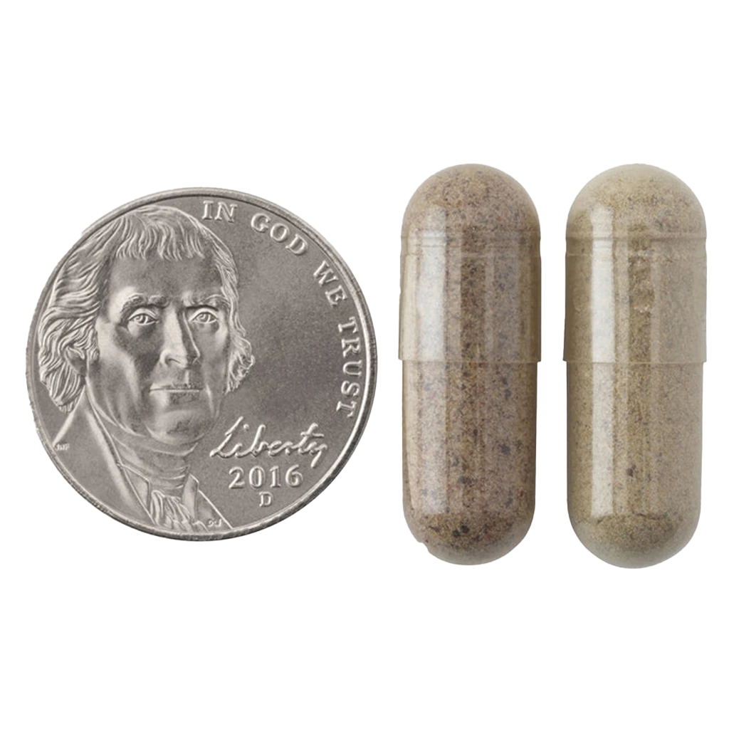 Natrol - JuiceFestiv, Dagliga Frukter & Grönsaker - 60 + 60 kapslar - Bild 5