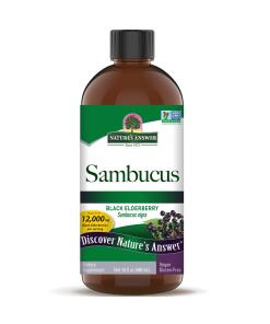 Nature's Answer Sambucus 12000mg 480ml