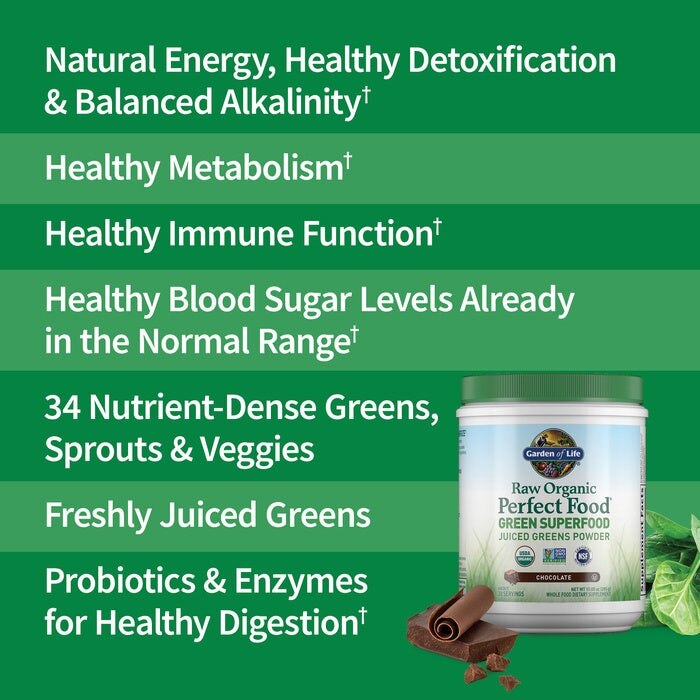 Garden of Life - Rå Ekologisk Perfekt Mat Grön Superfood, Choklad - 570g - Bild 4