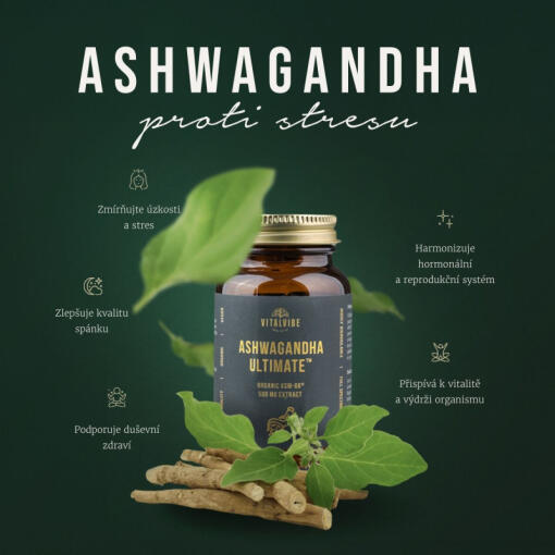 Vitalvibe - Ashwagandha Ultimate Organic KSM-66® Extrakt 500 mg, Kapslar - Bild 3
