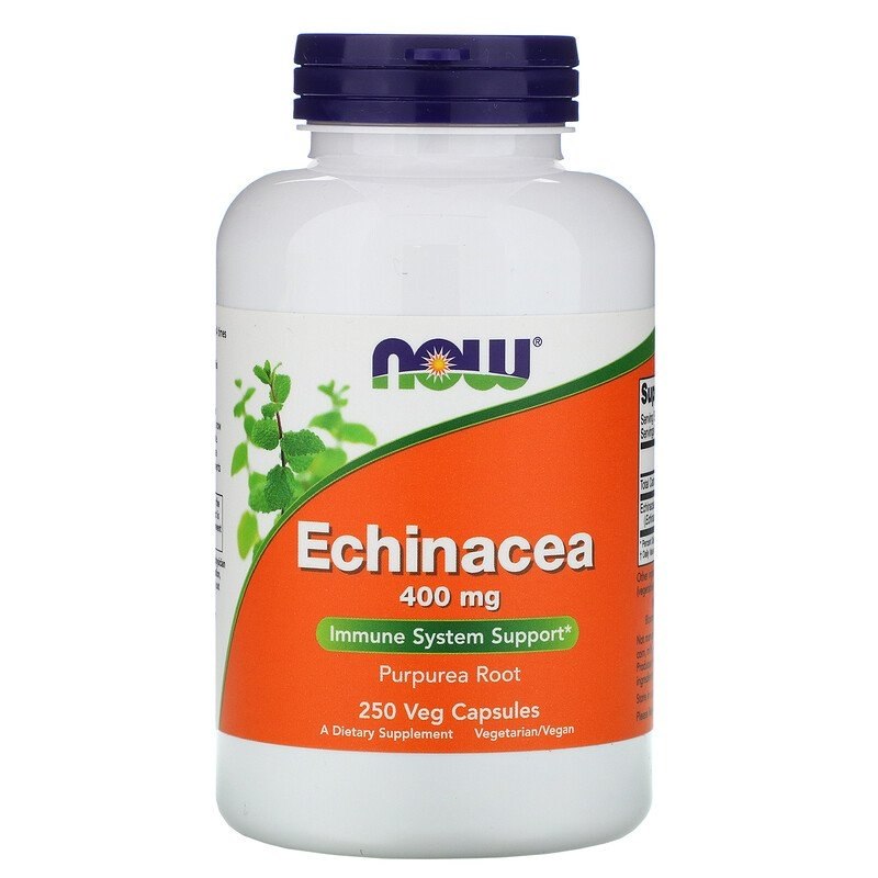 Echinacea