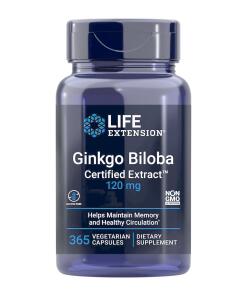 Ginkgo Biloba