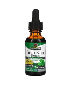Gotu Kola Extract - 30 ml.