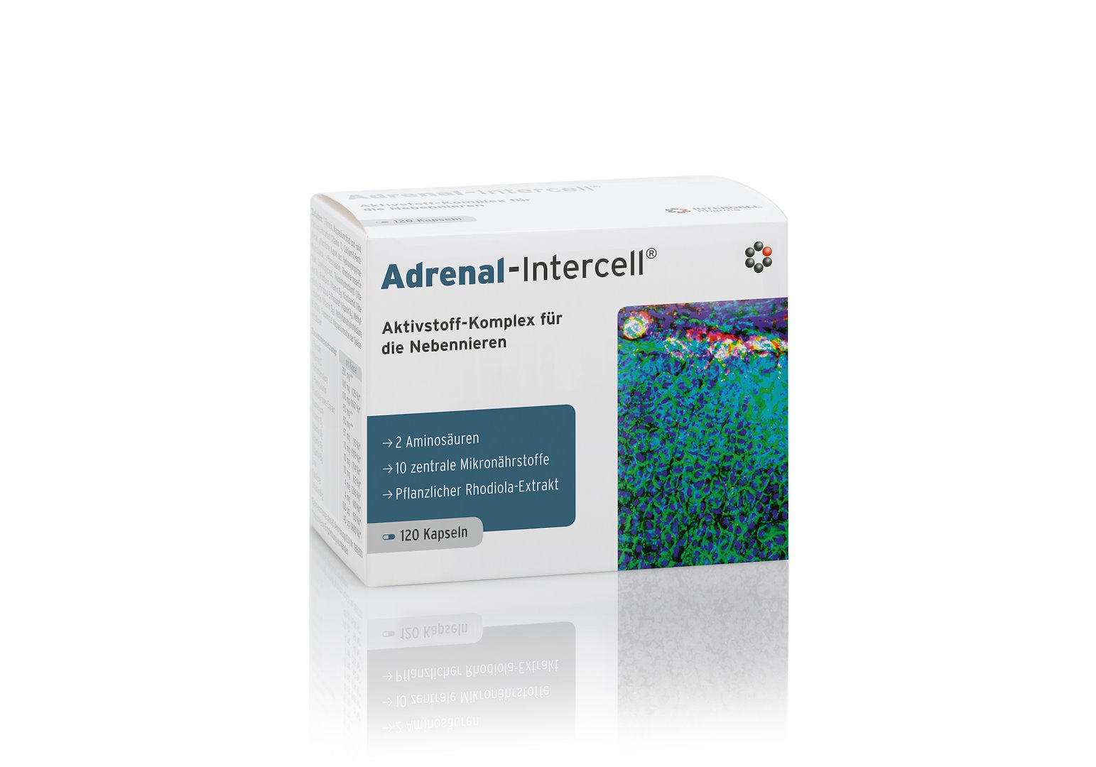 Intercell Pharma - Adrenal-Intercell, 120 kapslar | Vitaminer och MineralerHälsa och välbefinnandeÖrttillskottRhodiolaNiacinÖrter och växtbaserade preparat | Apoteka
