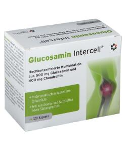 INTERCELL PHARMA Glucosamin-Intercell (120 caps)