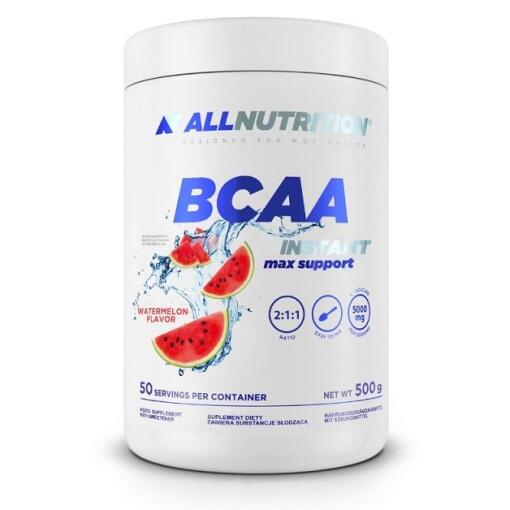 BCAA Max Support Instant - 500 gram