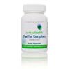 Bacillus Coagulans - 60 syreresistente kapsler
