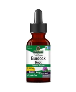 Burdock Root