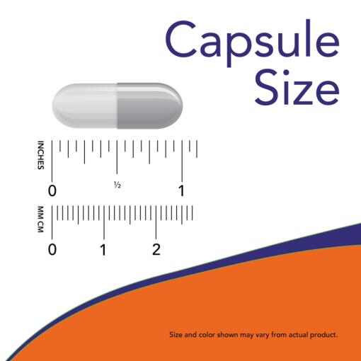 NOW Foods - EpiCor Plus Immunity, 60 kapslar - Bild 3
