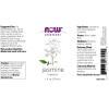 Jasmine Oil - 30 ml.