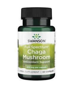 Full Spectrum Chaga Mushroom