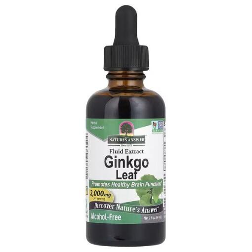 Ginkgo Leaf