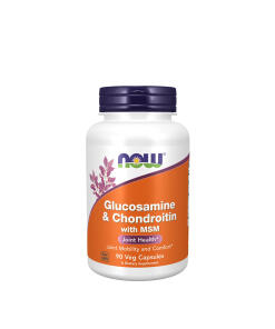 Glucosamine & Chondroitin with MSM - 90 caps