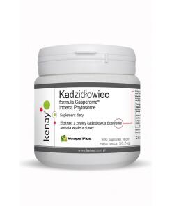 KENAY Boswellia Casperome Indena Phytosome (300 caps)