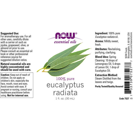 NOW Foods - Eukalyptusradiataolja, 30 ml - Bild 2