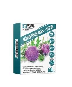Natur Tanya Milk Thistle Max + Kolin (60 Tablets)