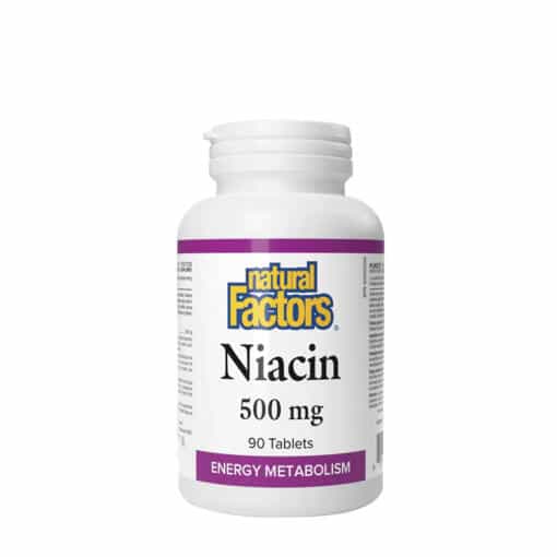 Natural Factors Niacin 500 mg  (90 Tablets)