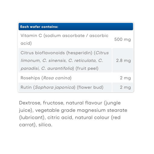 Natural Factors - Vitamin C 500 mg, Naturliga Frukttuggisar, 90 stycken, Djungeljuice - Bild 5