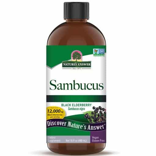 Nature's Answer Sambucus 12000mg 480ml