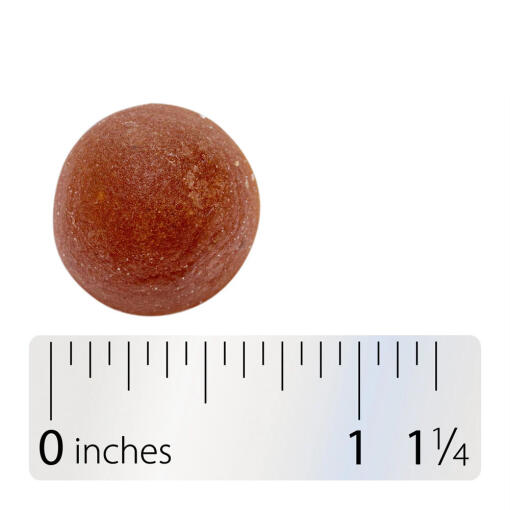 Nature's Way - Alive! B-Komplex Gummies, 60 stycken - Bild 9