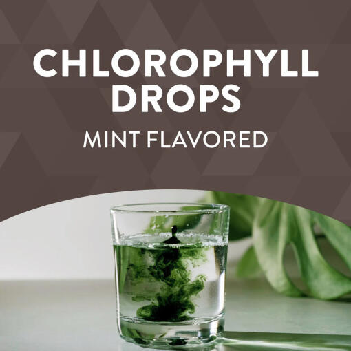 Natures Way - Chlorofresh Klorofyll Droppar, 59 ml - Bild 11