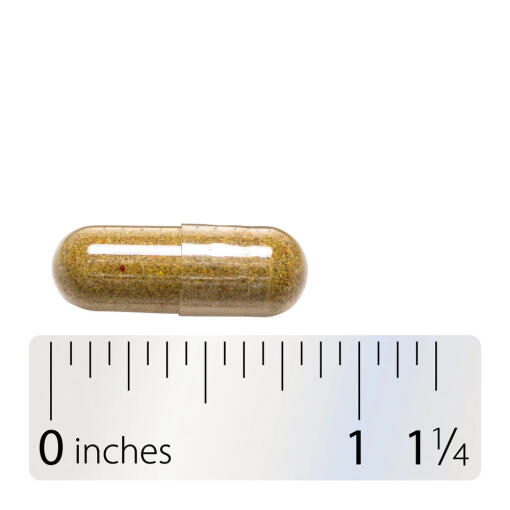 Natures Way - Echinacea Goldenseal Premium Blend, 100 kapslar - Bild 9