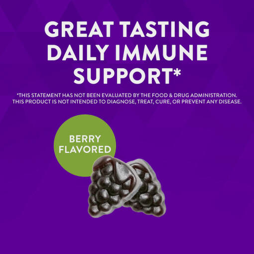 Natures Way - Sambucus Gummies, 60 stycken - Bild 10