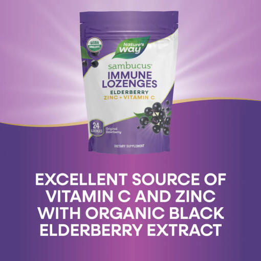 Natures Way - Sambucus Immune Ekologiska Sugtabletter, 24 stycken - Bild 3