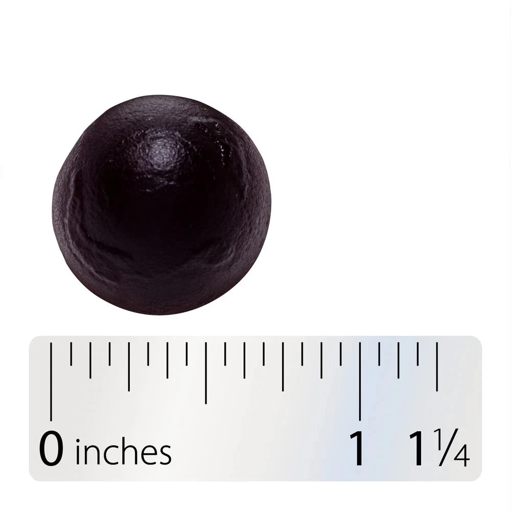 Natures Way - Sleep Well Gummies, 60 stycken - Bild 6