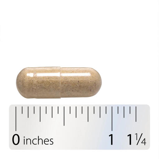Natures Way - Vitamin C med Bioflavonoider, 250 Kapslar - Bild 9