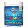 Primal Defense Kids