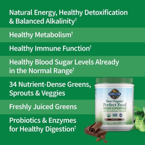 Garden of Life - Rå Ekologisk Perfekt Mat Grön Superfood, Choklad - 570g - Bild 4