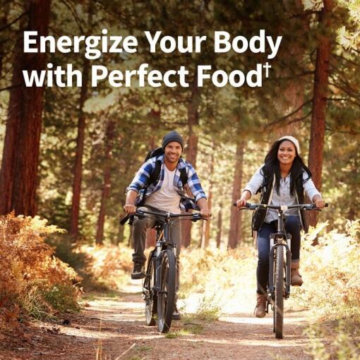Garden of Life - Rå Ekologisk Perfekt Mat Grön Superfood, Choklad - 570g - Bild 5