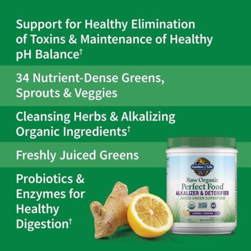 Garden of Life - Rå Ekologisk Perfekt Mat Alkaliserare & Detoxifierare, Citron Ingefära, 282 gram Juiced Green Superfood - Bild 4