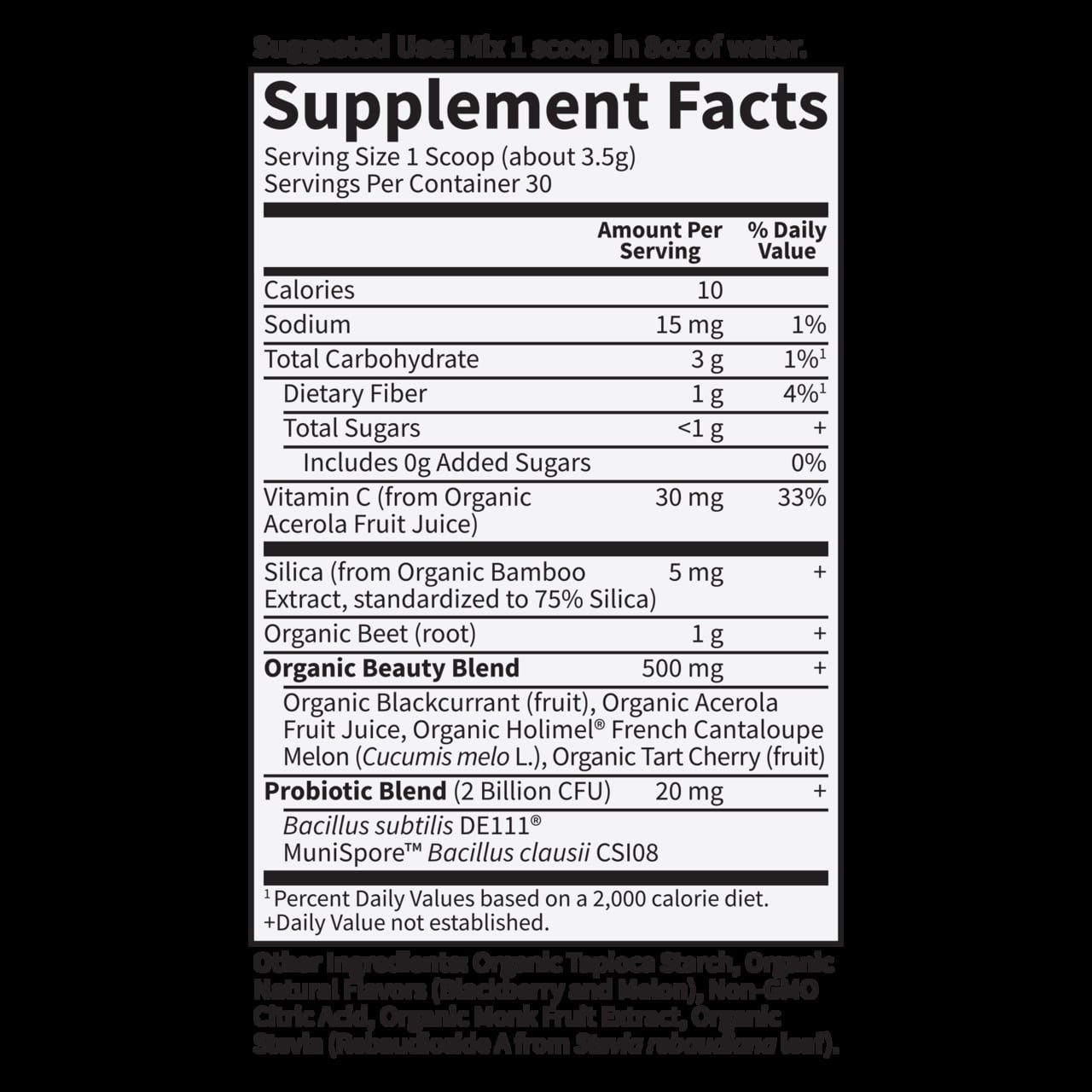 Garden of Life - Rödbeta Skönhet, Svartvinbär Melon 105g Pulver - Bild 2