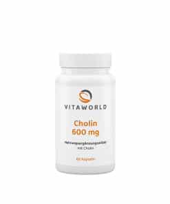 Vitaworld Choline 600 mg (60 Capsules)