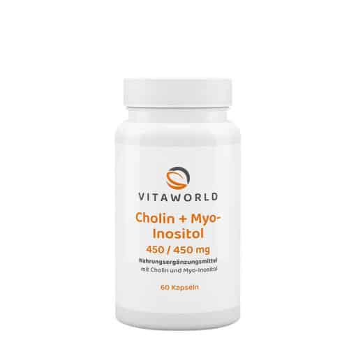Vitaworld Choline + Inositol 450/450 mg (60 Capsules)