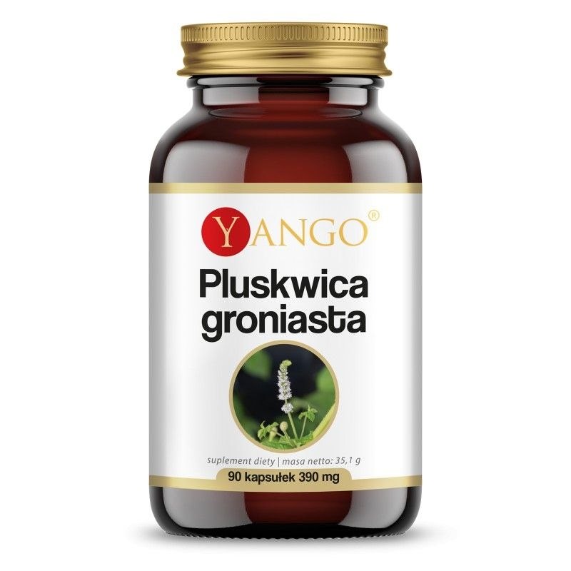 Yango - Svartkämpextrakt, 90 kapslar | Vitaminer och MineralerHälsa och välbefinnandeÖrttillskottÖrter och växtbaserade preparat | Apoteka